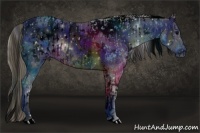 Horse Color:ERROR: UNKNOWN ANOMALY and ERROR: UNKNOWN ANOMALY