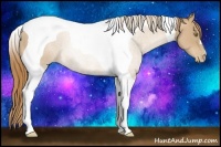 Horse Color:Chestnut Pearl Tobiano