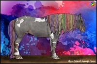 Horse Color:Painted Liver Red Roan Tobiano Varnish 