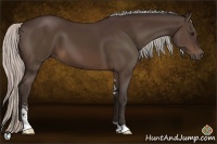 Horse Color:Silver Brown Sabino 
