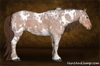 Horse Color:White Spotted Liver Red Ice Roan 