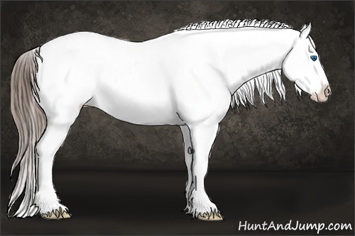 Horse Color:Bay Sabino Splash Snowflake Varnish