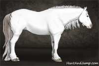 Horse Color:Bay Sabino Splash Snowflake Varnish