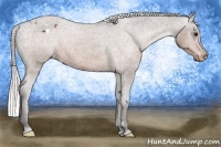 Horse Color:Silver Brown Appaloosa