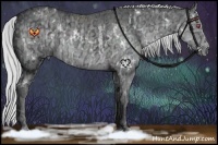 Horse Color:White Spotted Silver Grullo Chinchilla Ice  and White Spotted Silver Black Chinchilla Ice 