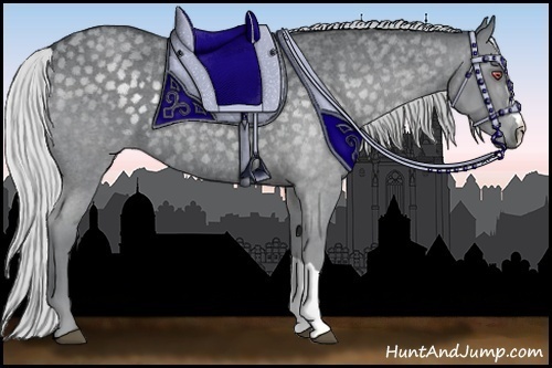 Horse Color:Silver Blue Chinchilla Roan 