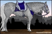 Horse Color:Silver Blue Chinchilla Roan 