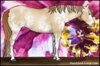 Horse Color:White Spotted Red Dun Pearl Splash 