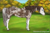 Horse Color:Liver Red Dun Ice Splash and Liver Chestnut Ice Splash