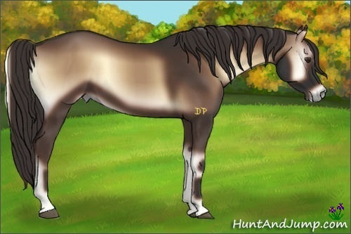Horse Color:Liver Red Onyx Sabino