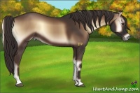 Horse Color:Liver Red Onyx Sabino