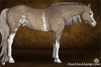 Horse Color:White Spotted Chocolate Silver Brown Dun Sabino