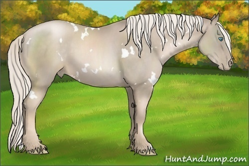 Horse Color:White Spotted Chocolate Palomino Pearl 