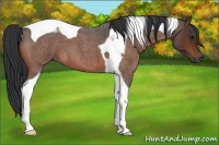 Horse Color:Bay Roan Tobiano 