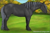 Horse Color:Painted Black Sabino