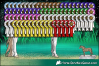 Horse Color:Black Pearl Sabino Tobiano Rabicano 