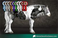 Horse Color:Plaid Silver Grullo Chinchilla Ice Splash Tobiano
