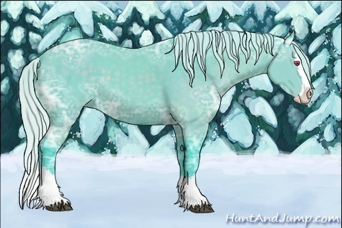 Horse Color:Watercolor Silver Black Chinchilla Ice Sabino Splash 