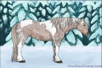 Horse Color:Silver Brown Ice Roan Tobiano Rabicano