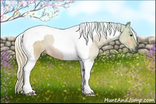 Horse Color:Watercolor Silver Bay Tobiano 