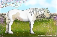 Horse Color:Watercolor Silver Bay Tobiano 