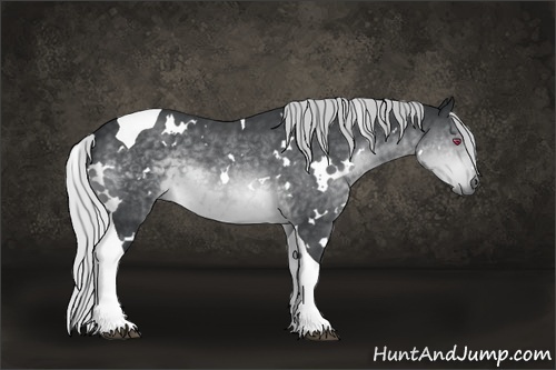 Horse Color:White Spotted Silver Brown Chinchilla Tobiano 