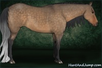 Horse Color:Bay Dun