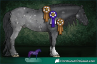 Horse Color:Black 