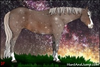Horse Color:Silver Bay Sabino Splash