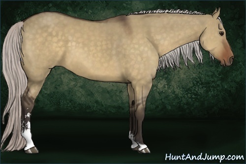 Horse Color:Silver Bay Dun Sabino 