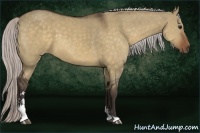 Horse Color:Silver Bay Dun Sabino