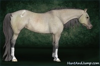 Horse Color:Brown Dun Varnish Rabicano