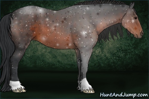 Horse Color:Brown 