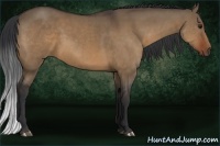 Horse Color:Bay Dun