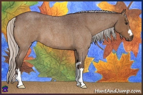 Horse Color:Silver Bay Roan 