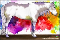 Horse Color:Watercolor Silver Bay Sabino Frame 