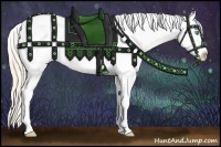 Horse Color:Smoky Creme Roan Dun Appaloosa 