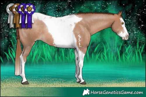 Horse Color:Brown Pearl Sabino Splash Tobiano Rabicano 