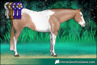Horse Color:Brown Pearl Sabino Splash Tobiano Rabicano 
