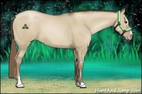 Horse Color:Grullo Pearl Sabino