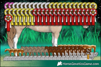 Horse Color:Grullo Pearl Sabino Splash Tobiano 