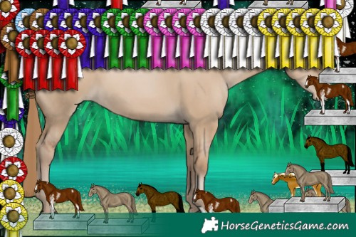 Horse Color:Grullo Pearl Sabino