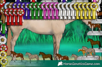 Horse Color:Grullo Pearl Sabino 