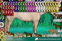 Horse Color:Grullo Pearl Sabino