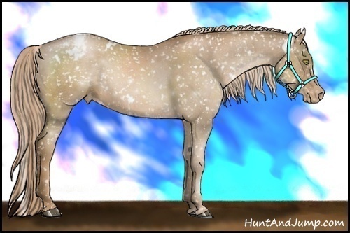 Horse Color:White Spotted Liver Chestnut Pearl Snowcap 