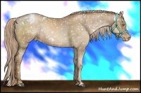 Horse Color:White Spotted Liver Chestnut Pearl Snowcap 