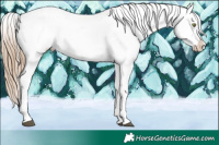Horse Color:White Spotted Liver Chestnut Pearl Snowcap 