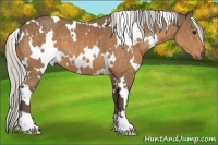 Horse Color:White Spotted Silver Buckskin 