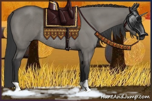 Horse Color:Grullo Rabicano 