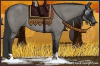 Horse Color:Grullo Rabicano 